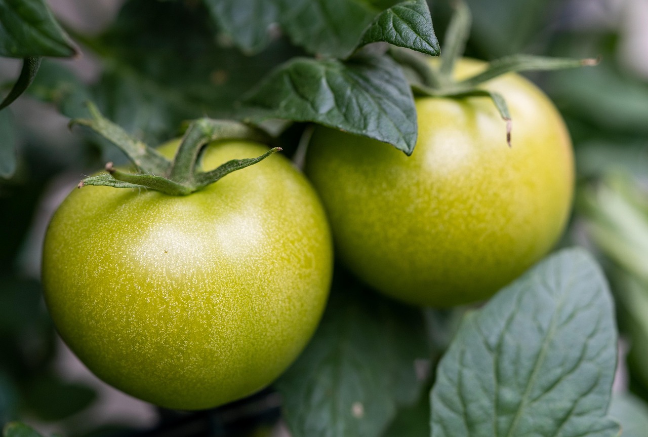 Gesunde Ernährung im Alter: mit dem richtigen Essen fit und selbstständig bleiben