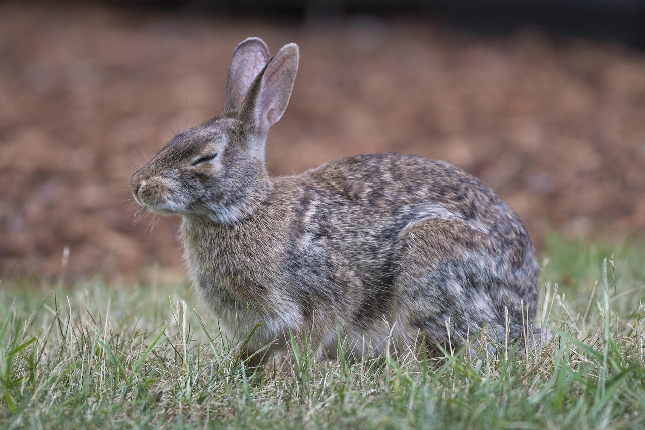 Kind einschlafen