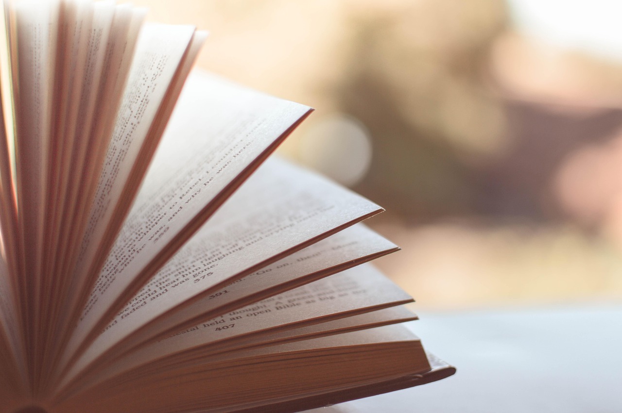 Texte erfassen