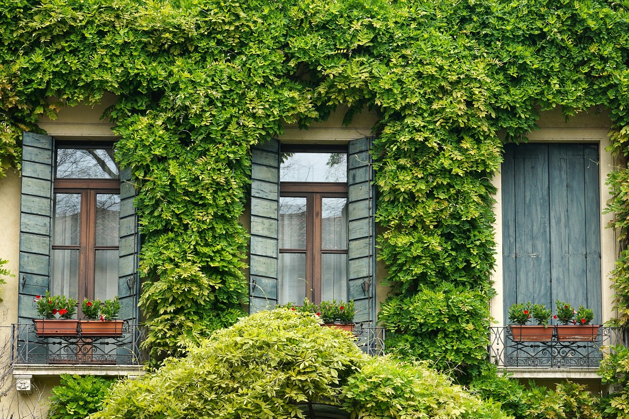 Tagsüber verschattete und geschlossene Fenster halten